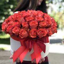 Купить розы красные (эквадор) в шляпной коробке