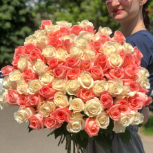 Букет из 101 розы "розово-белые" (Эквадор)