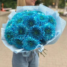 Купить букет цветов из синей хризантемы 
