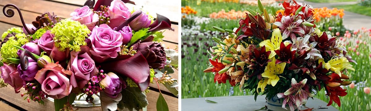 Какие цветы подарить на день рождения - советы интернет-магазина Расцветочка