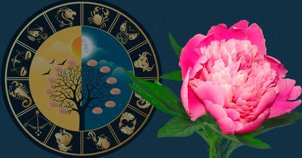 Как выбрать цветы по знаку зодиака - советы цветочного супермаркета Расцветочка