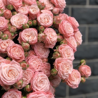 Букет из кустовых роз (пудрово-розовый)