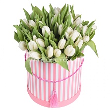 Букет тюльпанов в коробке №59