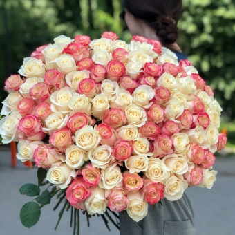купить в туле букет из 101 розы эквадор по акции 