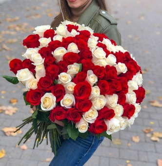 Розы Эквадор красно-белый микс 60см