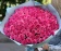 Букет из 101 розы Ревивал (Кения) 60 см