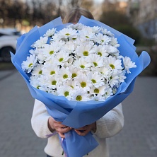 Букет цветов из белых хризантем "Голубое небо"